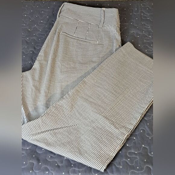 Ann Taylor Factory Curvy cropped pants size 6 - Picture 1 of 6